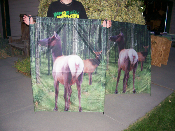 cow elk decoy